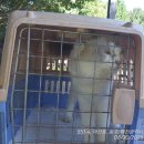 세이브존카서비스 이미지