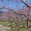 사암2리 이미지