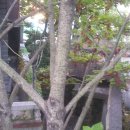 감천1동-11 이미지