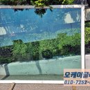 창동수산 이미지