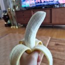 다모아레포츠 | 양구일상 I 2023년 배꼽축제 양구 불꽃놀이 축제 I 양구 교촌치킨