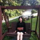 파인빌펜션 이미지