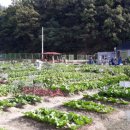 일대농장(2) 이미지