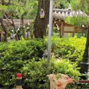 동구릉로L 이미지