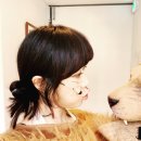 아이레벨트라움벨트 이미지