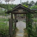 강릉청솔공원 | 강릉 뒷뜨루 체험 후기 - 강릉 아이랑 핑크뮬리 정원