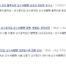 성수속향연