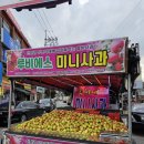 피자스쿨 망우우림시장점 이미지