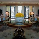 타지펠리스 이미지