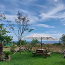 위미가 연 이미지