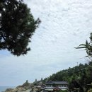 해동택시(주) 네이버블로그