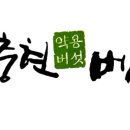 (주)류충현약용버섯 네이버블로그
