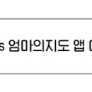 도리포터리