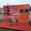 카이스트 이미지