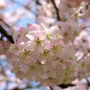 켄싱턴호텔 여의도 이미지