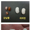 라마빈 씨앗나눔(마감) 이미지