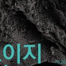 트라이보울 이미지