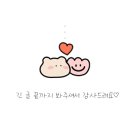 피트니스 웰시 분당정자점 이미지