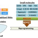 Bioin 이슈&특집 2012년 Vol.22 : 유도만능줄기세포(iPSC) 이미지