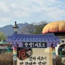 장터한식집 | [과천]서울랜드 나혼자산다 장터 후기 기안84추천 한식집 점심맛집