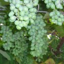 한마음세탁 이미지