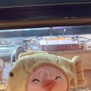 발한중앙시장 대형주차장 | 속초 중앙시장 365땅콩빵 후기 : 줄 서서 먹는 고소함의 비결과 주차장 이용 팁