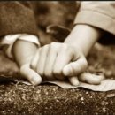 시절인연 이미지