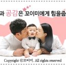 술정중앙길 네이버블로그