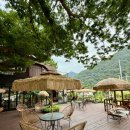 카페젤코바 이미지