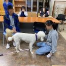 한울학교 이미지