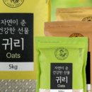 매일우유정읍