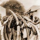 코끼리PC방 이미지