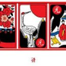 광 이미지