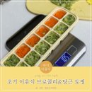 6개월 아기 초기 이유식 레시피 :: 초기 이유식 브로콜리 &amp; 당근 토핑 만들기 (w. 토핑 양, 토핑 입자)