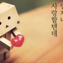 인형의 꿈 이미지