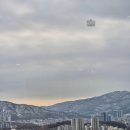 로얄수족관(이마트시지점) | 조선 팰리스 서울 강남 마스터스룸 패키지 시그니처 서비스, 팰리스 딜라이트 + 미트박스 룸서비스