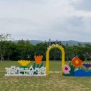 장군묘지 - 함양군 학사루2길 5-1 | 장군묘지