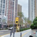 십정 정무태권도장 이미지