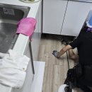 이지스제주지사