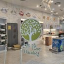 리프패럿 롯데마트 광복점 이미지