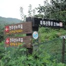 도계체육공원 이미지