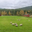 포동목장 이미지