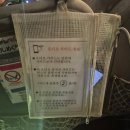 후쿠오카 오픈 탑 버스 야경투어 후기