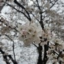 하방천변길 이미지