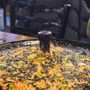 돼지제국 | 내돈내산후기📍 창동 솥뚜껑 삼겹살 맛집 돼지제국