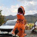 세이지힐 오토캠핑장 이미지