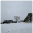 신창기업(주)발리오스컨트리클럽(회원제) 이미지