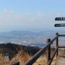 하린통닭 이미지