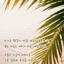 블러썸 이미지