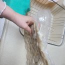 프리미엄 생선살99프로 어묵 목상천 후기